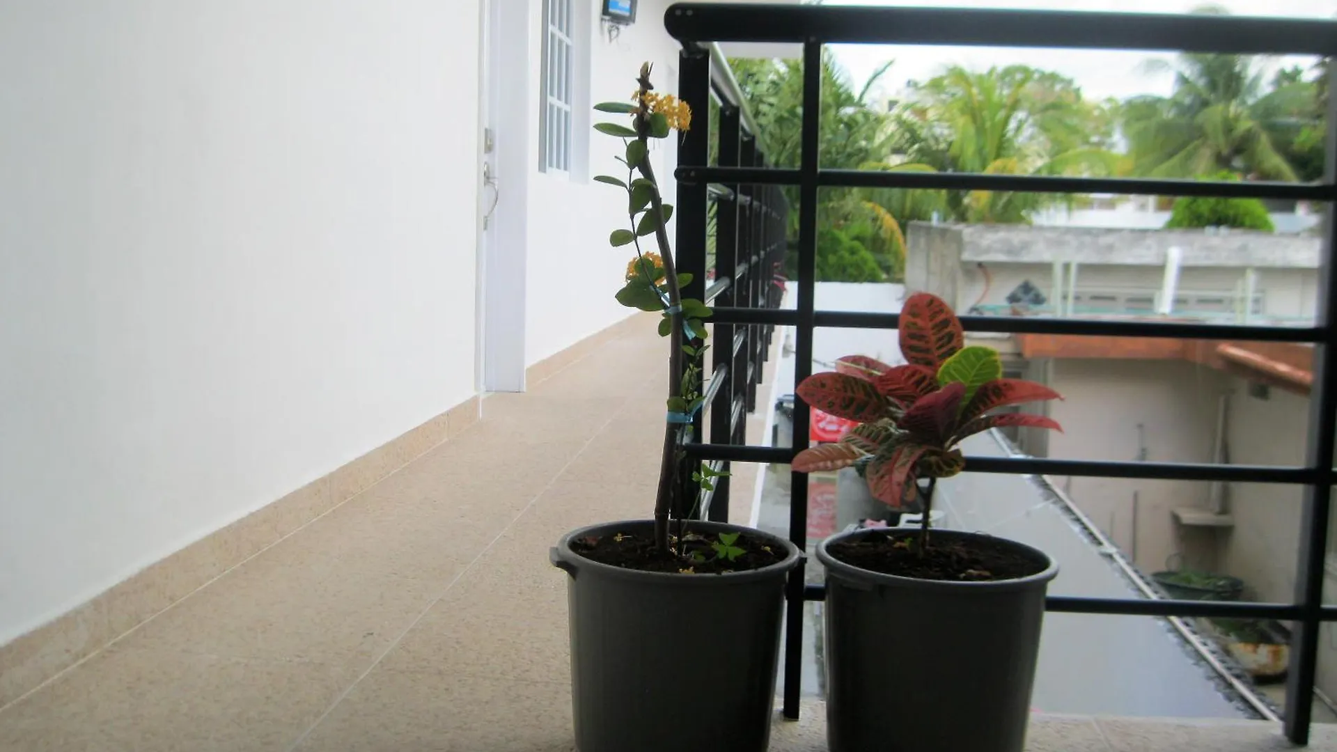 Apartment Blue Magic Suites Cozumel Mexico